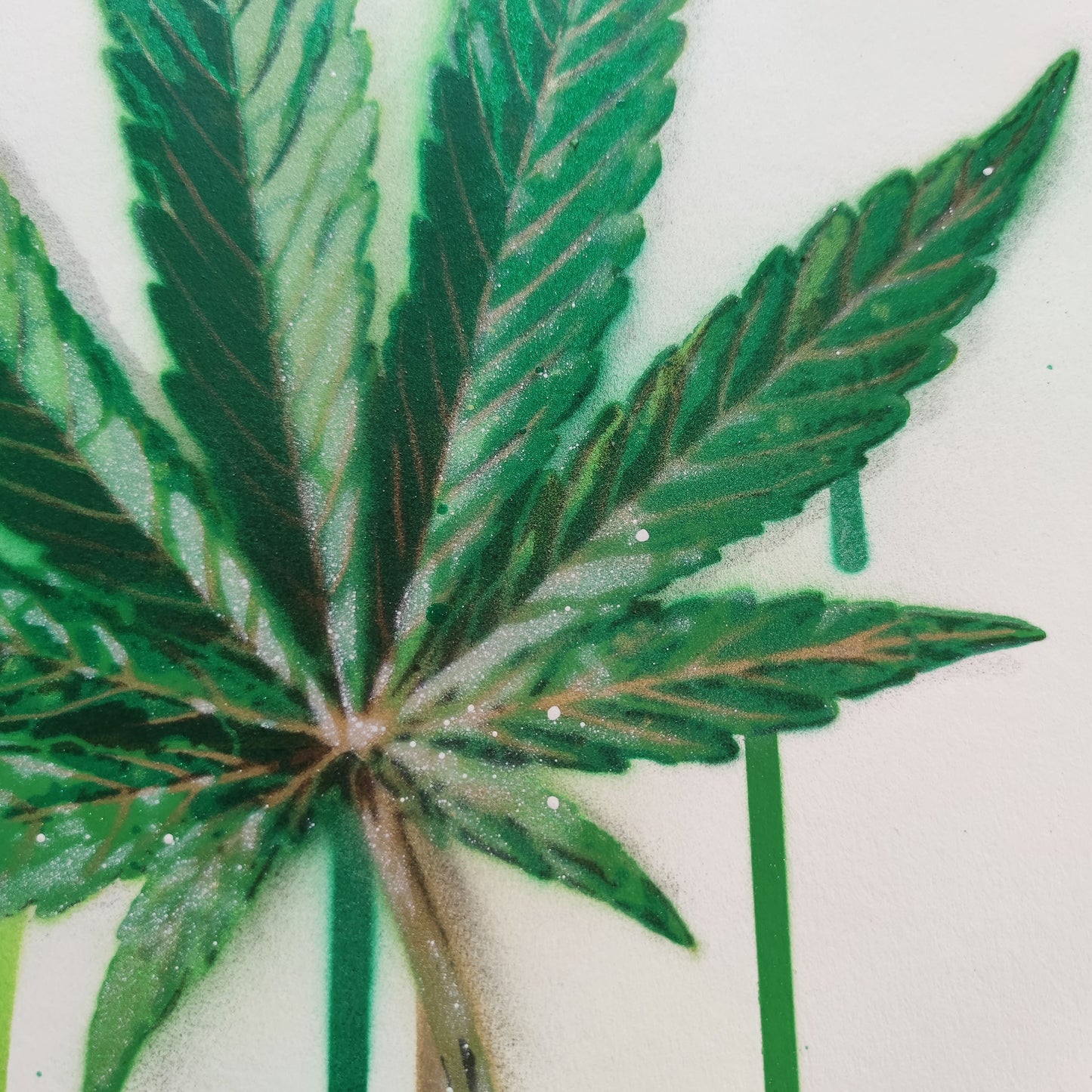 GANJA CanG