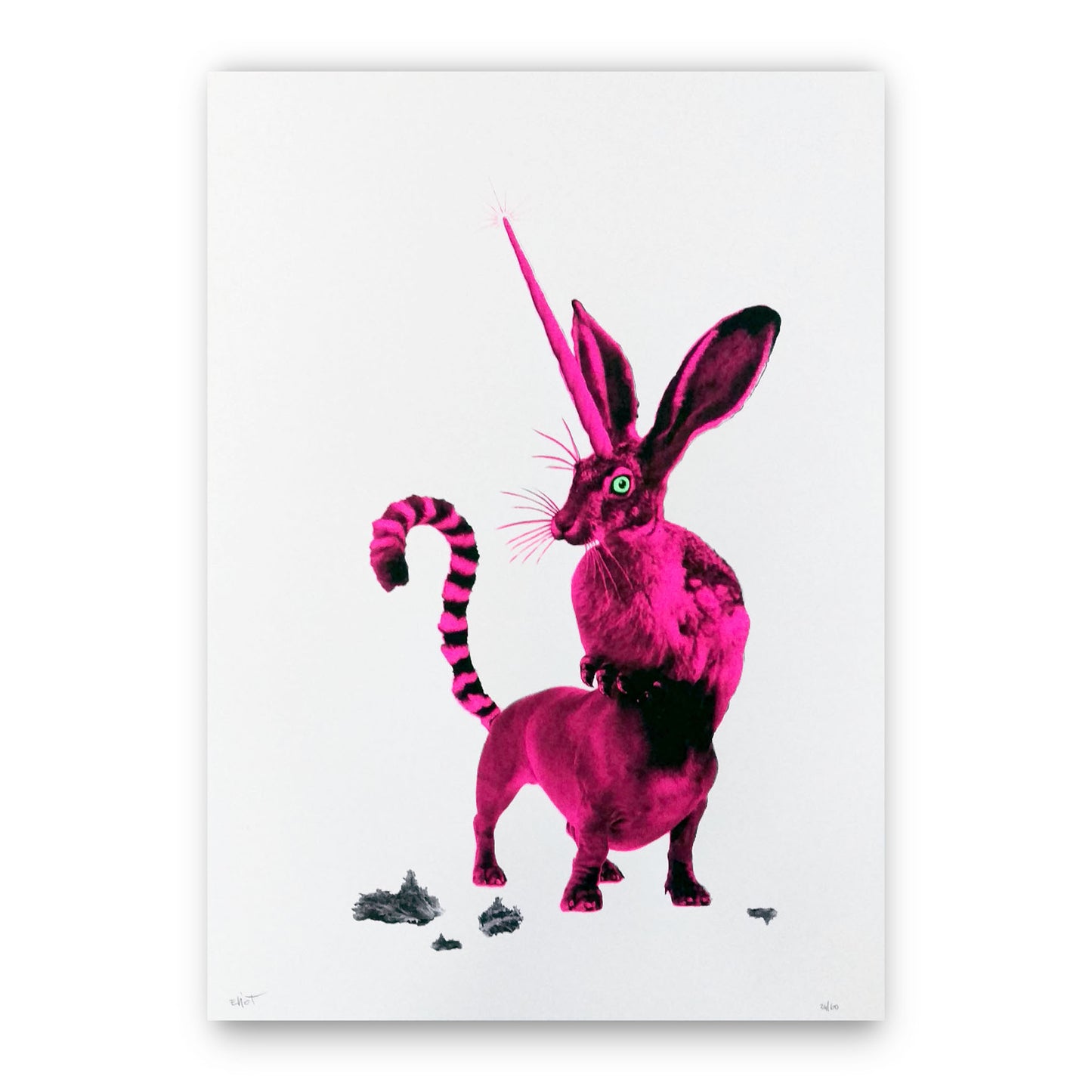 RABBIT - WOLPERDINGER