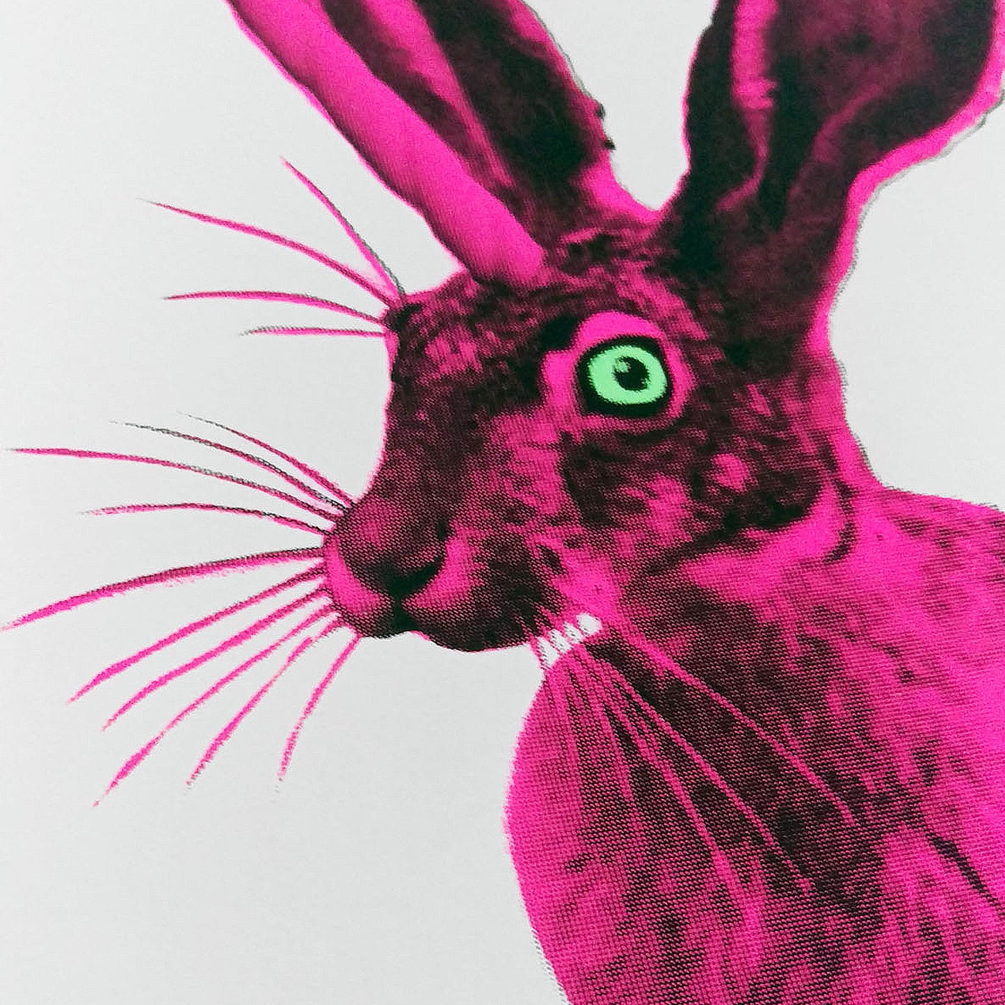 RABBIT - WOLPERDINGER
