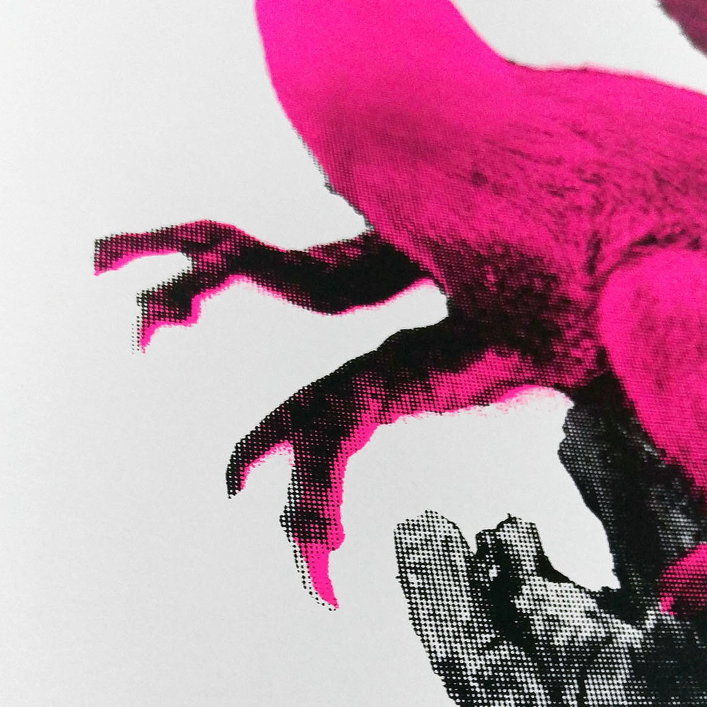DOG - WOLPERDINGER