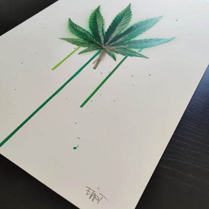 GANJA CanG